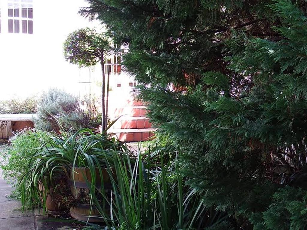 Belvedere Cottages Port Elizabeth Exterior foto
